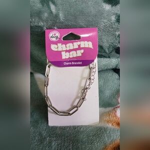 Silver Charm Bracelet (Small)